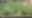 plot in Nagbal, Srinagar — Kashmiri Realtor