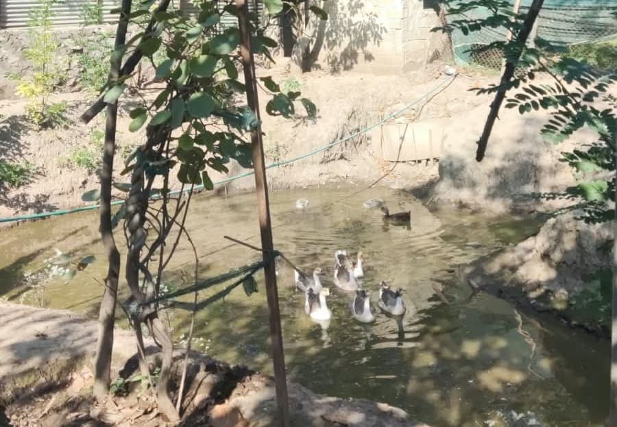 commercial plot in Khonmuh - Kashmiri Realtor